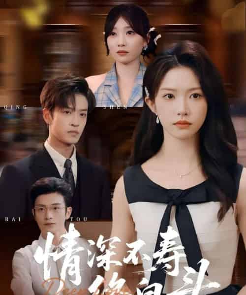 情深不寿终白头（90集全）吴毅非＆孙梓铖-海之城短剧项目