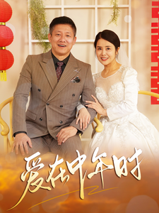 爱在中年时（40集全） - 海之城短剧
