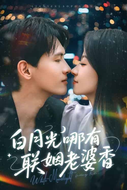 白月光哪有联姻老婆香 白月光哪有联姻老婆香