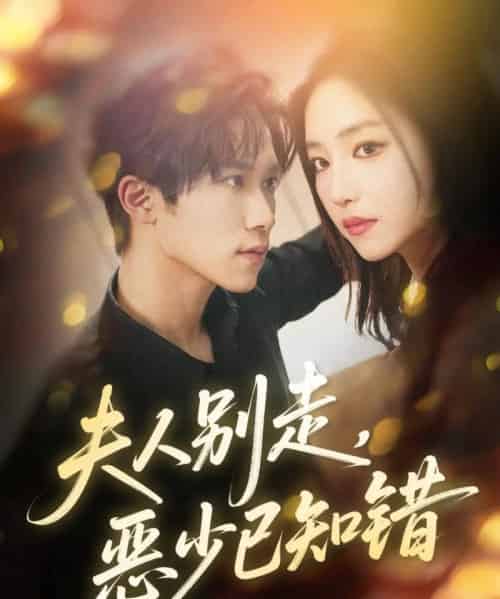 夫人别走恶少已知错（60集全）尹洋＆夏玄子-海之城短剧项目