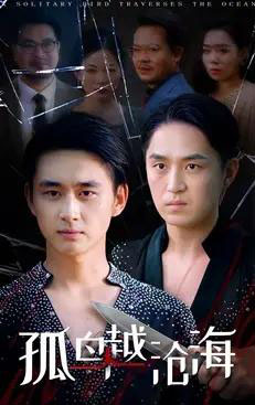 孤鸟越沧海 （60集全） 陈柄希＆张梦薇-海之城短剧项目