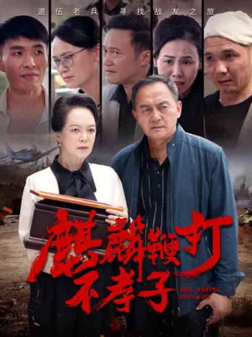 麒麟鞭打不孝子（78集全）陈建国＆赵红霞 - 海之城短剧