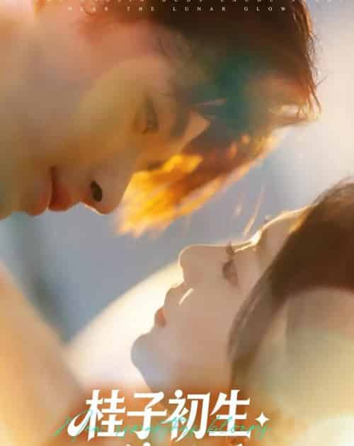 桂子初生傍月香（70集全）林秋一＆姜伊曼-海之城短剧项目