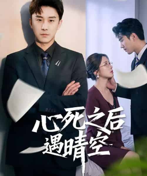 心死之后遇晴空（30集全）何为＆陆宇-海之城短剧项目