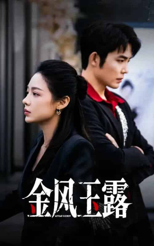 金风玉露（80集全）王晨鹏＆盛以婕-海之城短剧项目