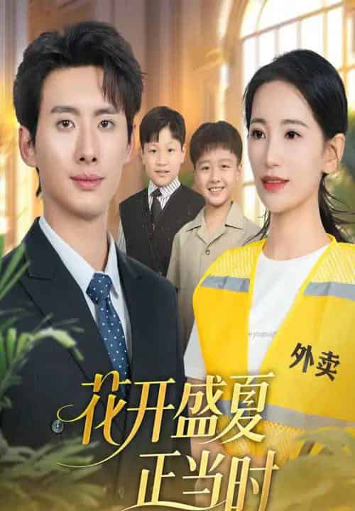 花开盛夏正当时（61集全）李雪莹＆徐俊亦-海之城短剧项目