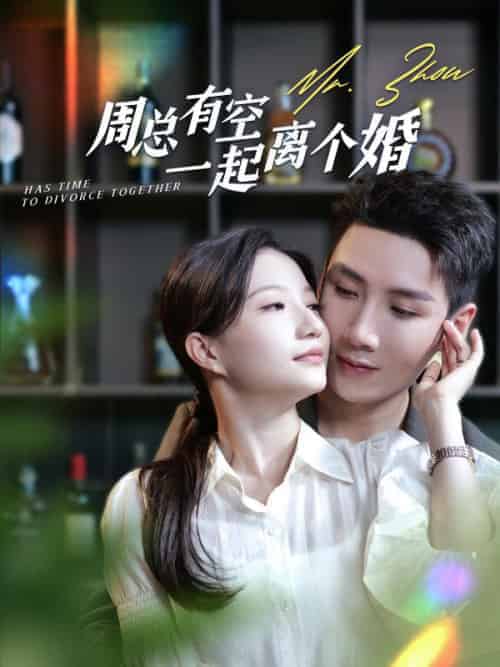 周总有空一起离个婚（100集全）周晏京＆林语熙 - 海之城短剧