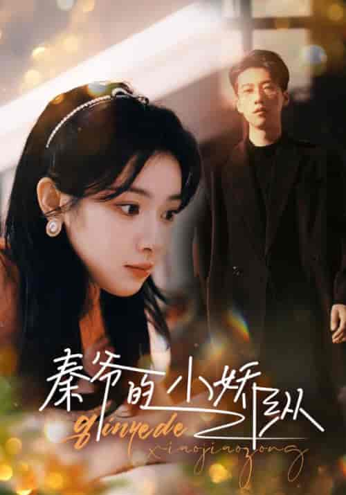 秦爷的小娇纵（96集） - 海之城短剧