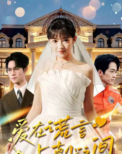 爱在谎言与真心之间（76集全）吴梦媛＆南下-海之城短剧项目
