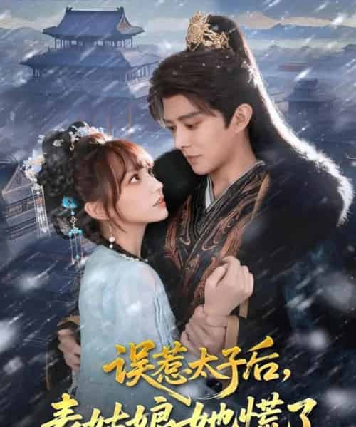 误惹太子后，表姑娘她慌了（80集全）王朝阳＆范薇-海之城短剧项目