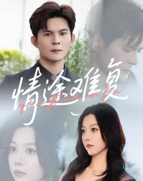 情途难复（50集）李金金＆祈乐 - 海之城短剧