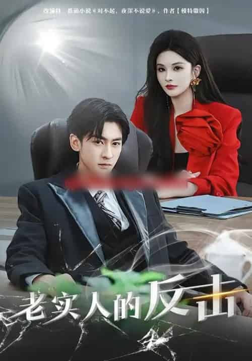 老实人的反击（80集全）李源丰＆彭晏茹-海之城短剧项目