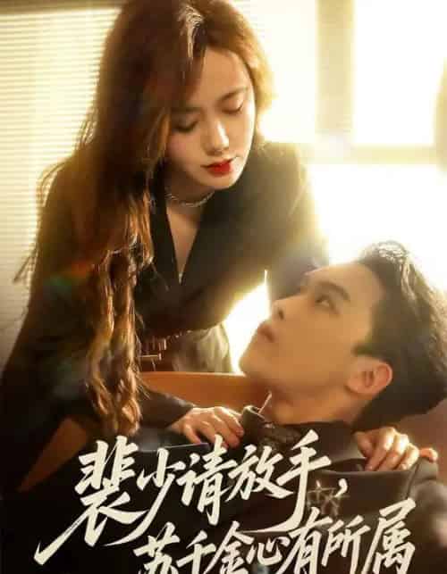 裴少请放手，苏千金心有所属（77集全）高张博＆张新涵-海之城短剧项目