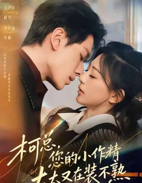 柯总，您的小作精太太又在装不熟（80集全）冯伊洋＆吴伊纯-海之城短剧项目