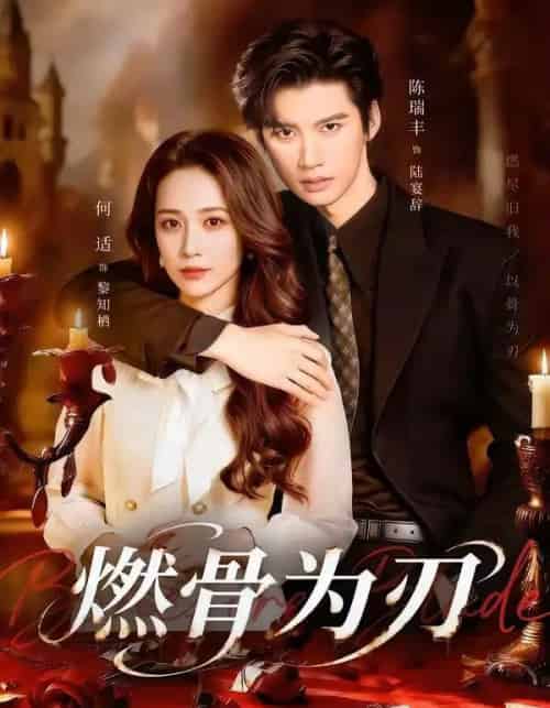 燃骨为刃（62集全）陈瑞丰＆何适-海之城短剧项目