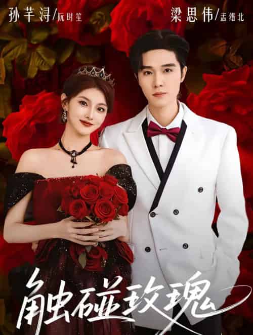 触碰玫瑰（80集全）梁思伟＆孙芊浔-海之城短剧项目