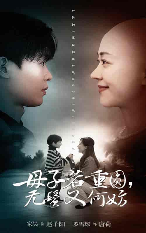母子若重圆无鬓又何妨 母子若重圆无鬓又何妨