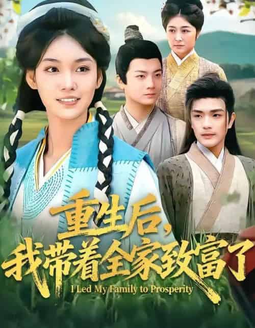 重生后，我带着全家致富了（80集全）刘宸羽＆韩芮莹-海之城短剧项目