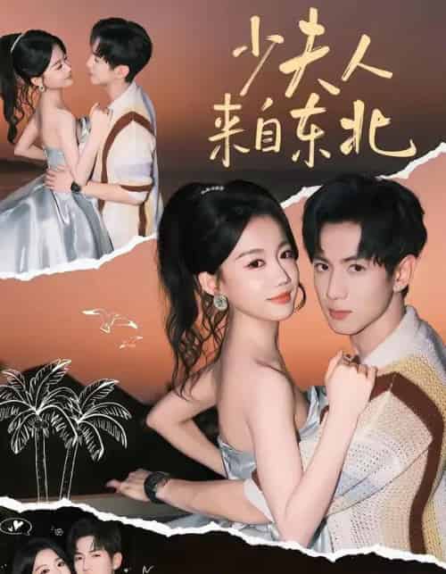 少夫人来自东北（80集全）梁雯晶＆业文-海之城短剧项目