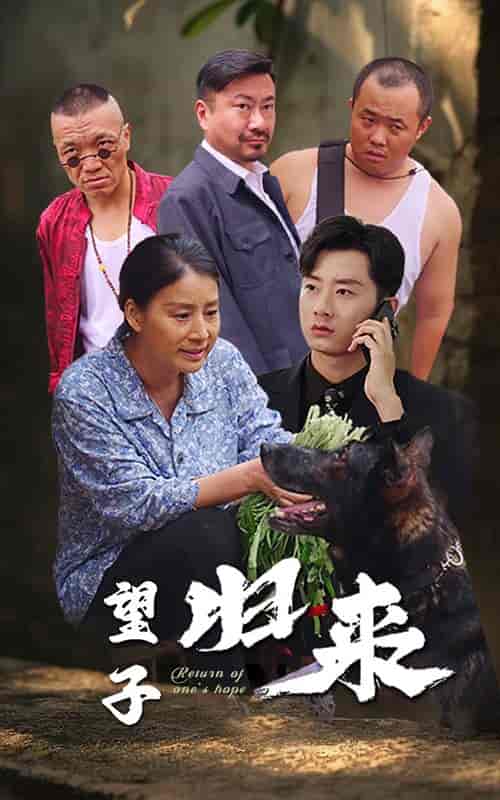 望子归来（50集全） - 海之城短剧