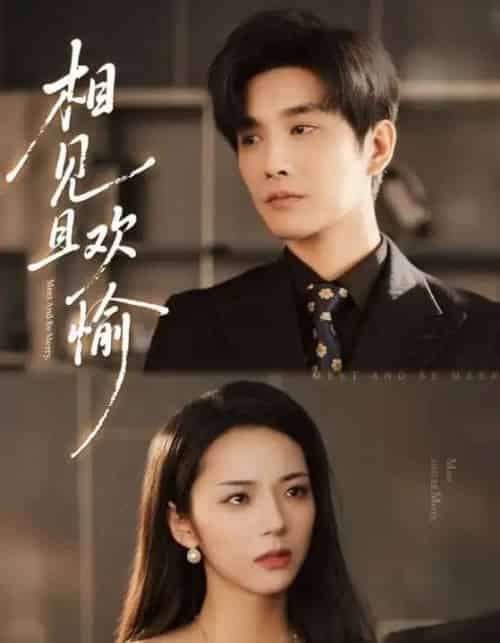 相见且欢愉（69集全）林潇＆邱卓雅-海之城短剧项目