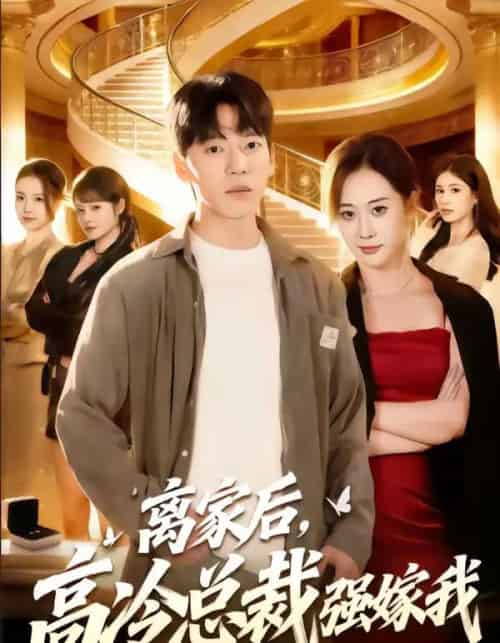 离家后，高冷总裁强嫁我（75集全）尼玛坚赞＆灵欢-海之城短剧项目