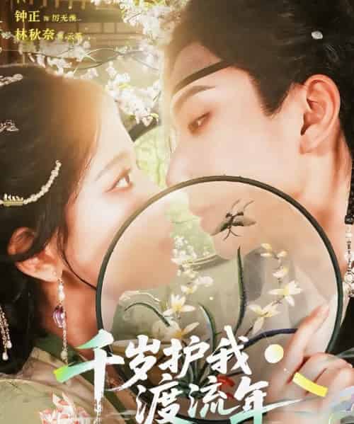 千岁护我渡流年（80集）钟正＆林秋奈-海之城短剧项目