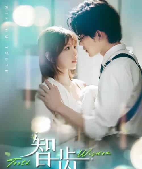 智齿 智齿
