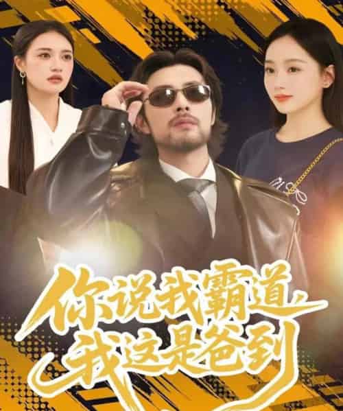 你说我霸道，我这是爸到（70集全）吴鑫尊＆席文君-海之城短剧项目