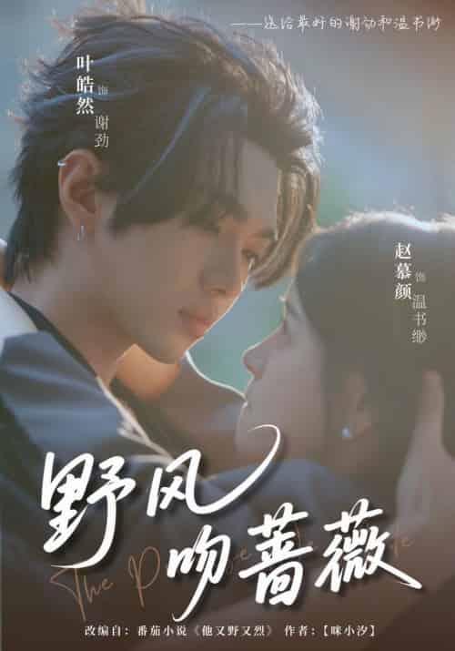 野风吻蔷薇（78集全）叶皓然＆赵慕颜 - 海之城短剧