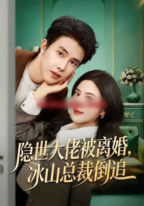 隐世大佬被离婚，冰山总裁倒追（80集全）陆绎方＆朱梦茹-海之城短剧项目