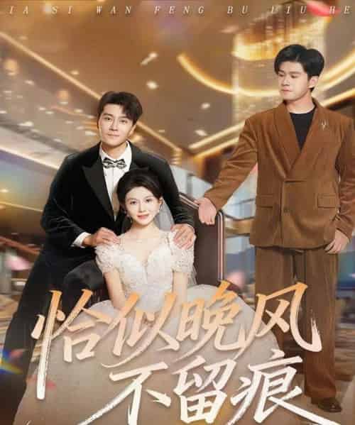 恰似晚风不留痕（61集全）田不凡＆孔莹莹-海之城短剧项目