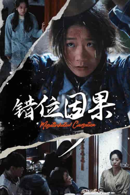 错位因果（40集全） - 海之城短剧