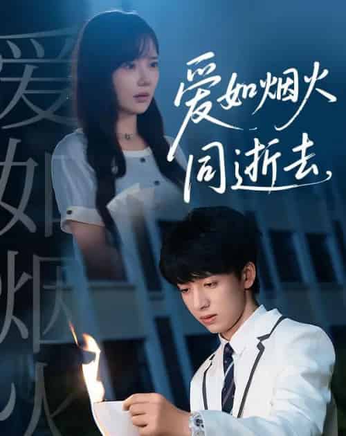 爱如烟火同逝去（51集全）金大钟＆常文景-海之城短剧项目