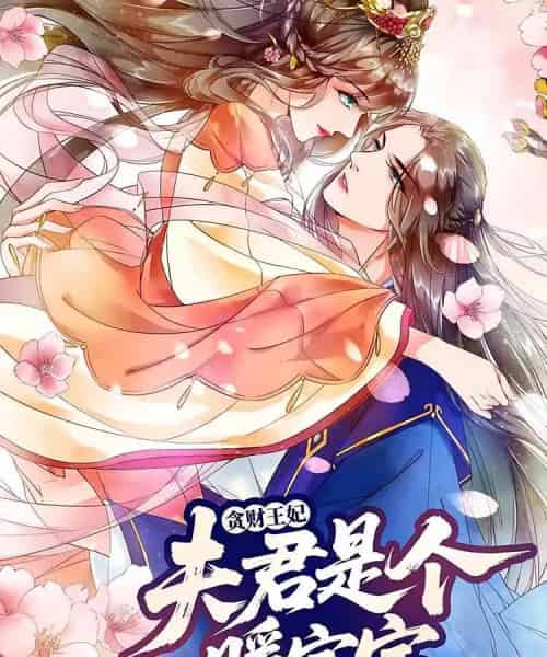 贪财王妃：夫君是个暖宝宝（30集）动漫-海之城短剧项目