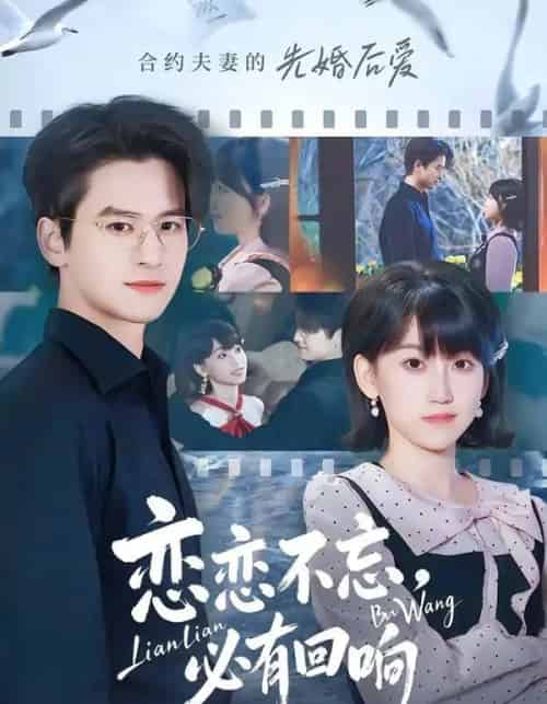 恋恋不忘，必有回响（80集全）张埜＆杨乔语-海之城短剧项目