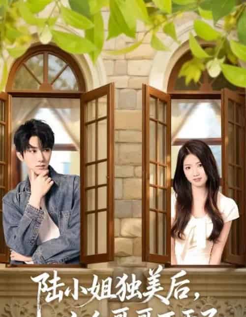 陆小姐独美后六个哥哥不干了（84集全）钊宏＆高洁慧-海之城短剧项目