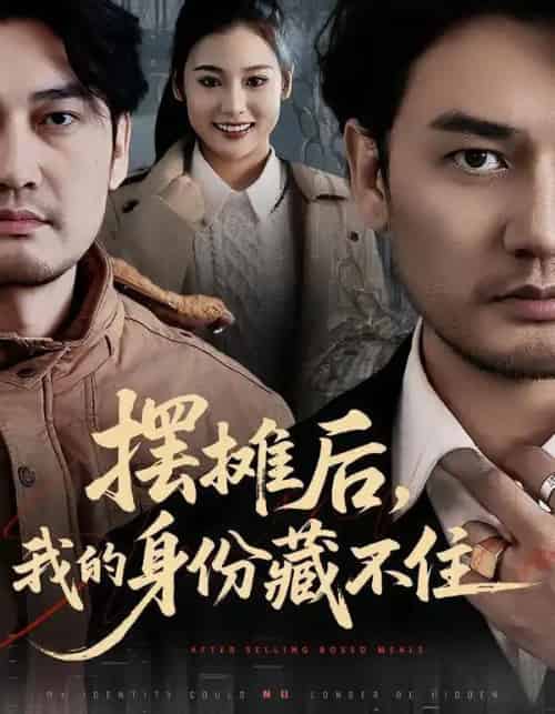 摆摊后，我的身份藏不住（43集全）丁峰＆王誉然-海之城短剧项目