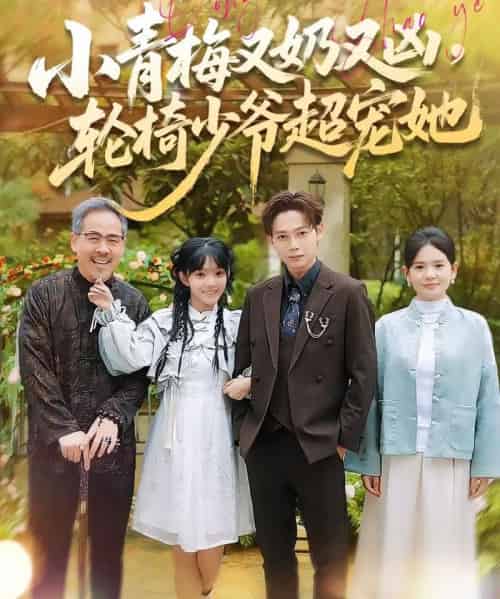 小青梅又奶又凶，轮椅少爷超宠她（90集全）王镱深＆张紫璇-海之城短剧项目