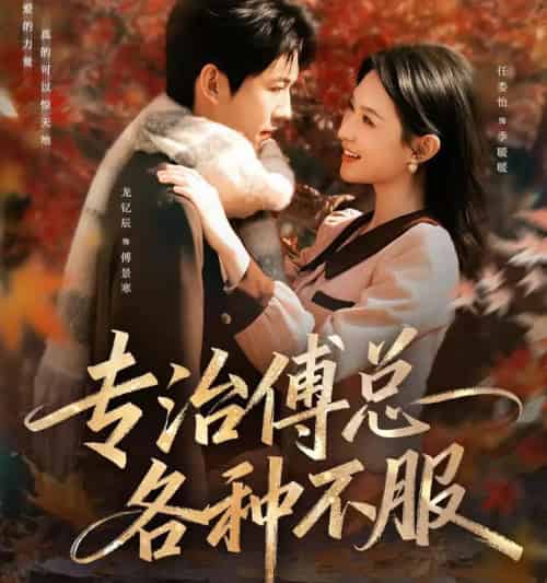 专治傅总各种不服（80集全）龙钇辰＆任娄怡-海之城短剧项目