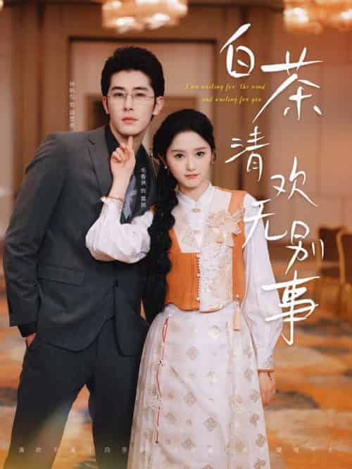 白茶清欢无别事（66集全）毛香淋 - 海之城短剧