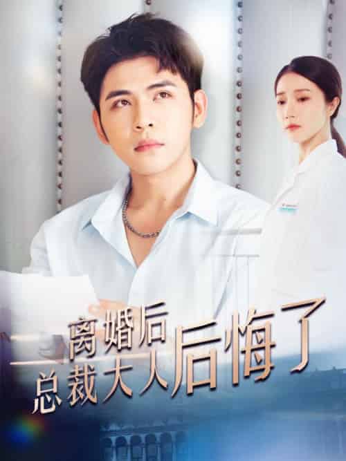 离婚后总裁大人后悔了（110集全）墨北夜＆安炫 - 海之城短剧