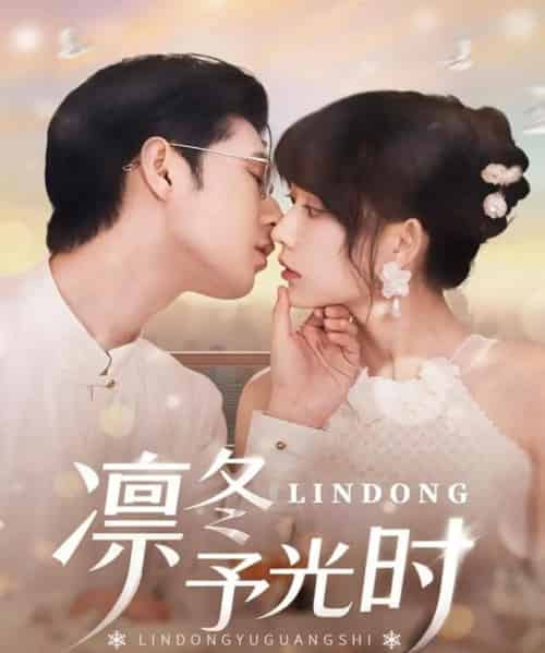 凛冬予光时（60集）李河源＆盛晨 - 海之城短剧