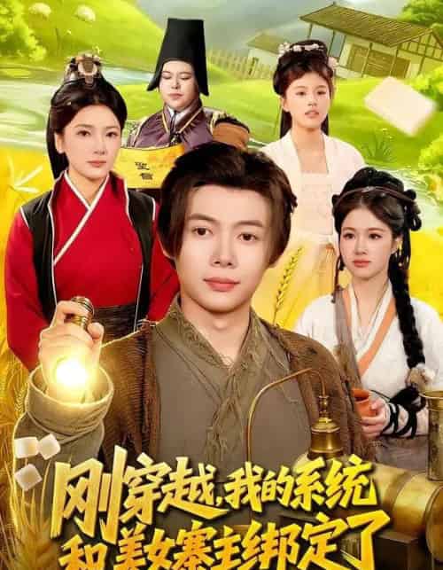 刚穿越，我的系统和美女寨主绑定了（98集全）王镱深＆姜云宁-海之城短剧项目