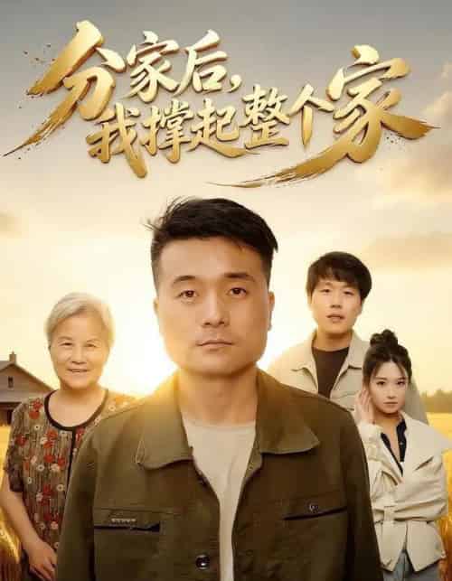 分家后我撑起整个家（61集全）张川＆杨敬晶-海之城短剧项目