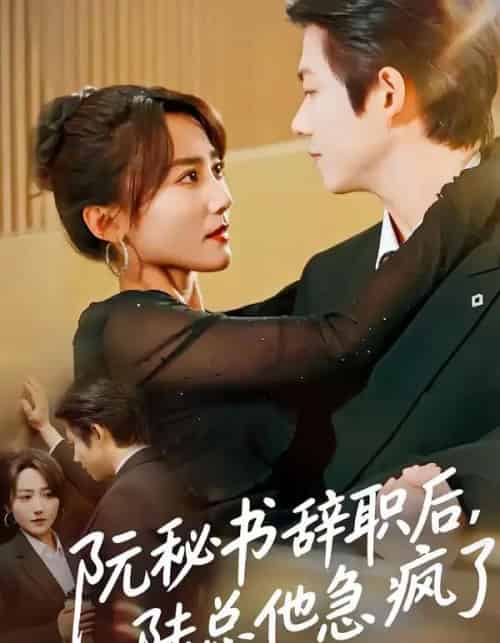 阮秘书辞职后，陆总他急疯了（80集全）闫聪＆王厂-海之城短剧项目