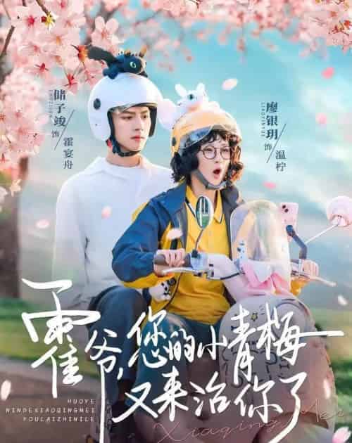 霍爷，您的小青梅又来治你了（90集全）储子竣＆廖银玥-海之城短剧项目