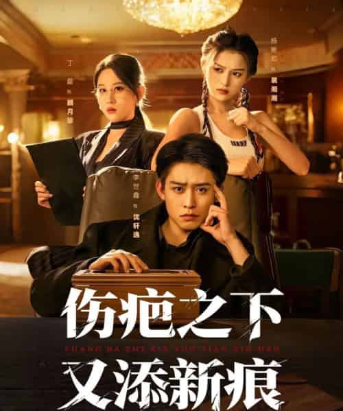 伤疤之下又添新痕（60集全）李世鑫＆丁磊-海之城短剧项目