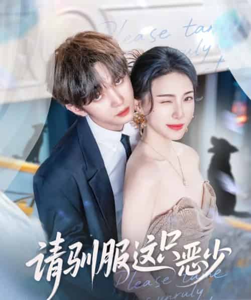 请驯服这只恶少（71集全）叶皓然＆杜雨宸-海之城短剧项目