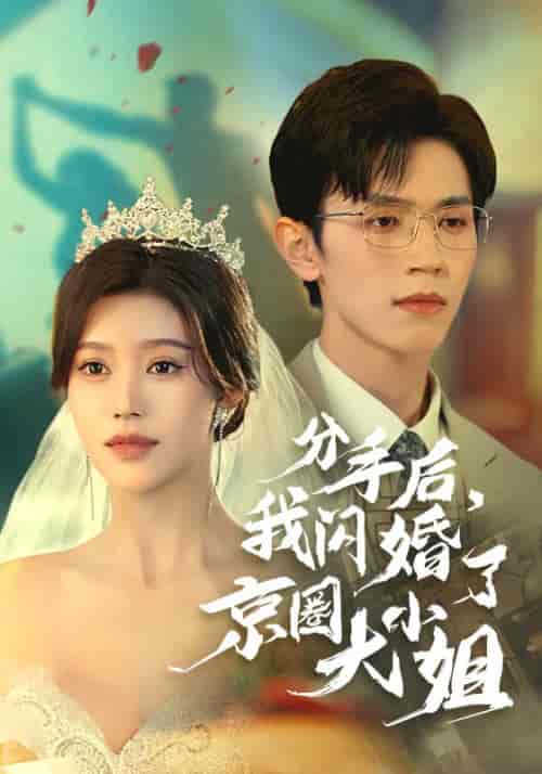 分手后，我闪婚了京圈大小姐（37集全）陆云川＆严梦涵 - 海之城短剧